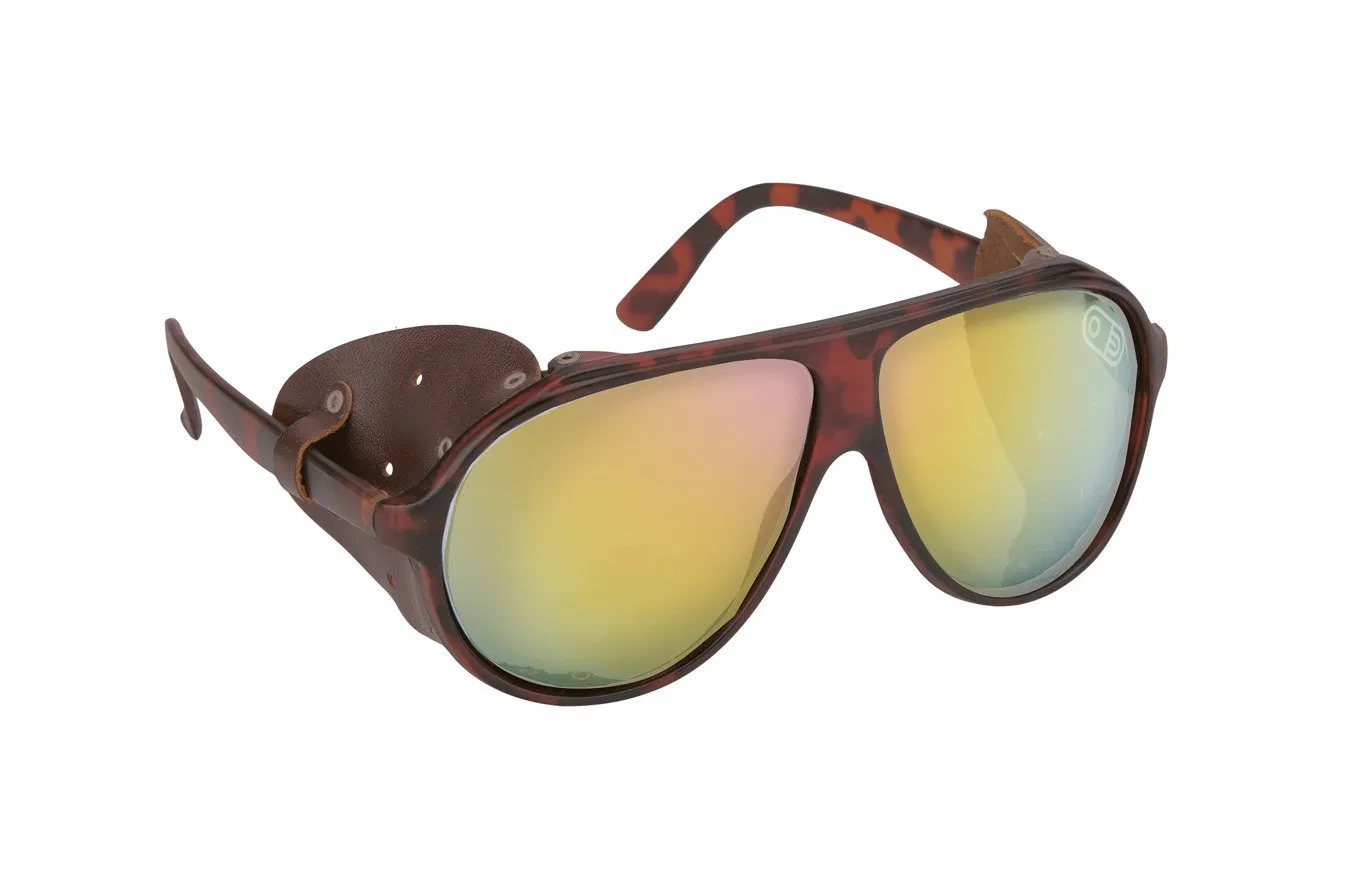 Airblaster Polarized Glacier Sunglasses