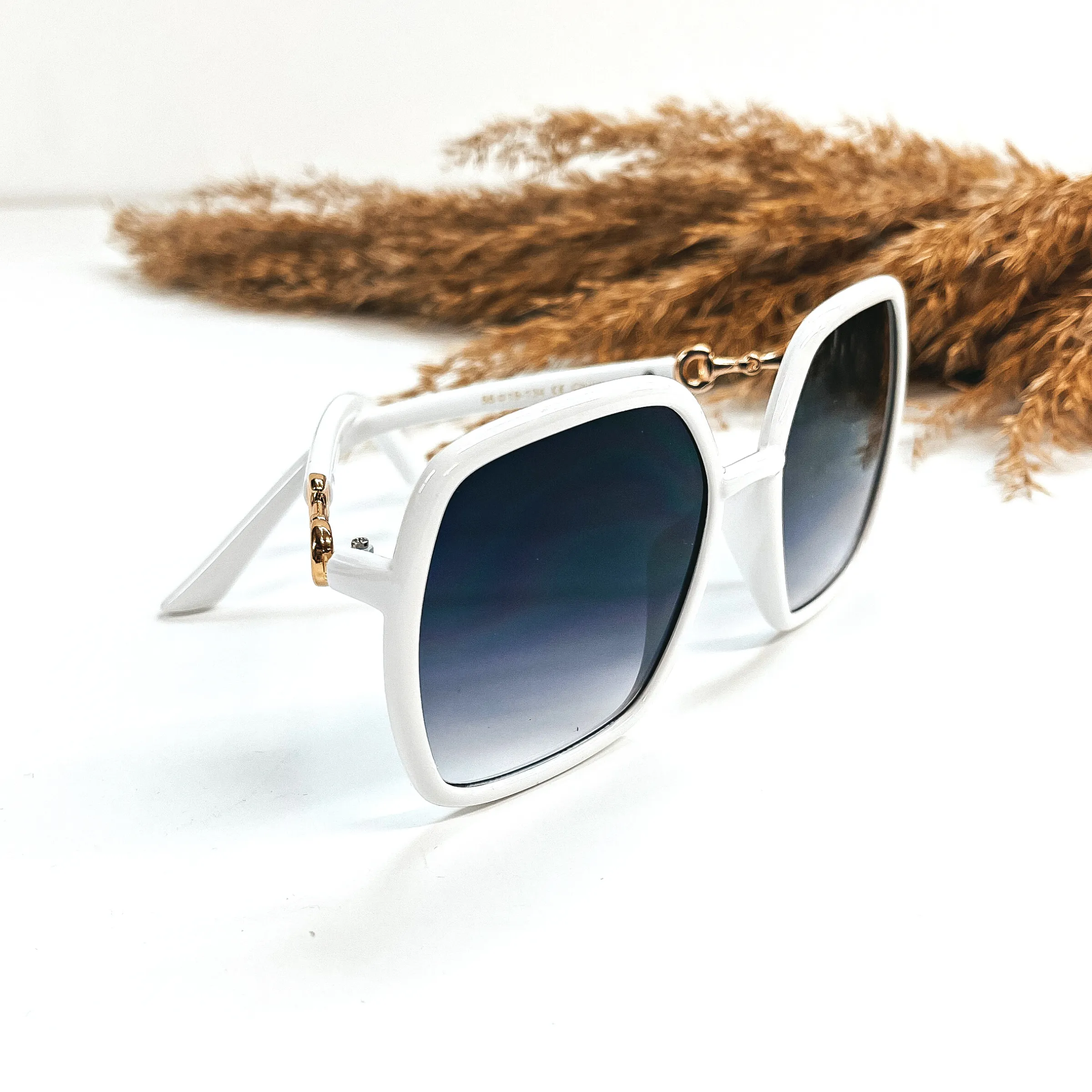 Around We Go Big Square Sunglasses with Gold Tone Details in Various Colors