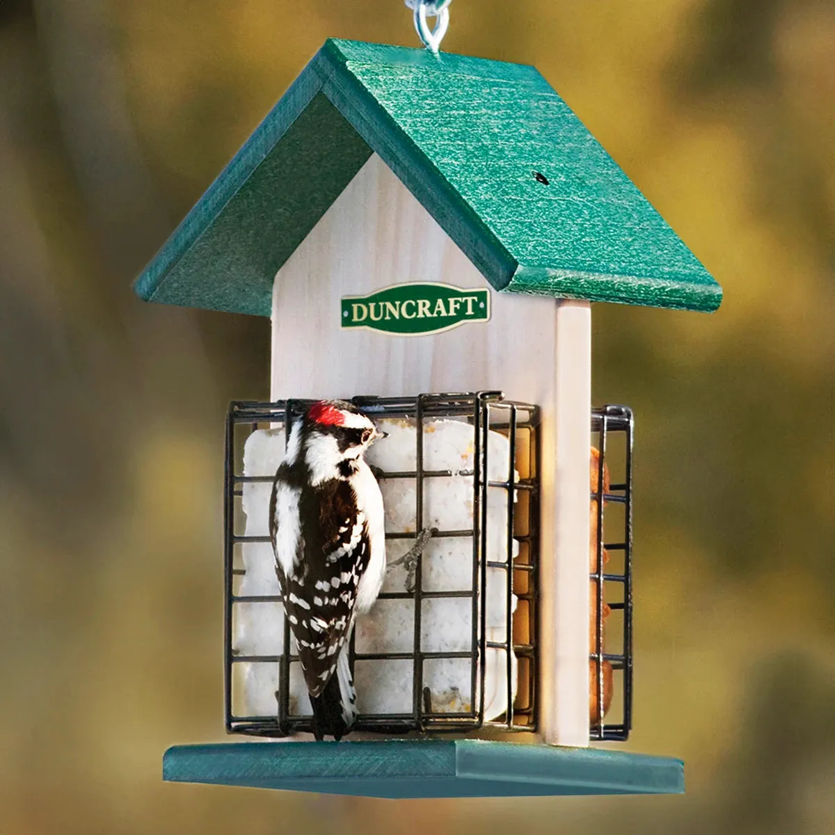 Duncraft 2-Sided Suet Chalet