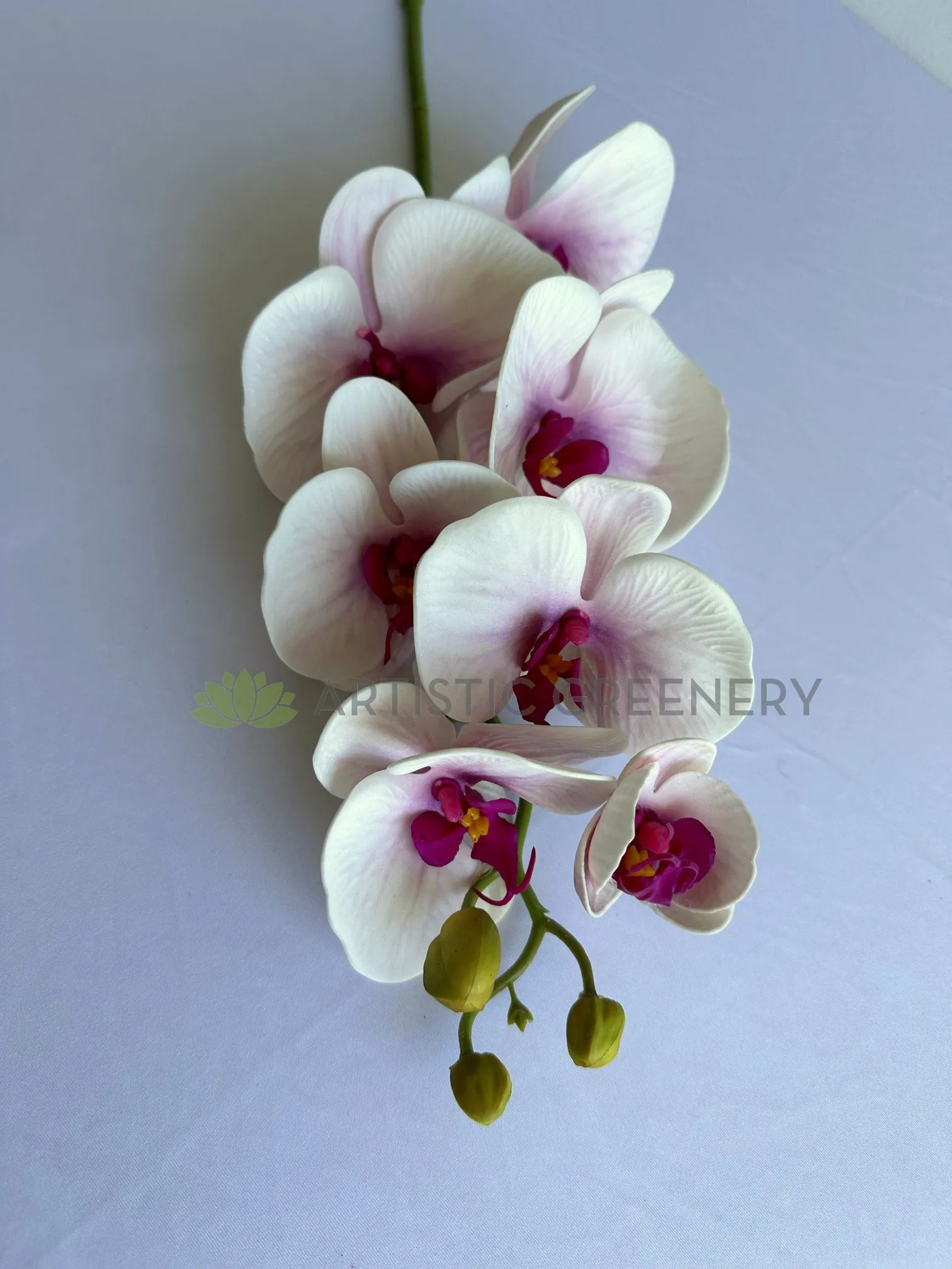 F0235 Phalaenopsis Orchid 77cm Real Touch Light Pink