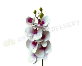 F0235 Phalaenopsis Orchid 77cm Real Touch Light Pink