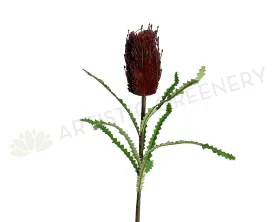 F0352 Banksia Stem 72cm Dark Red