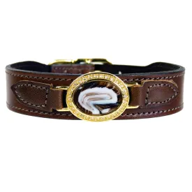 Lavish Dog Collar in Rich Brown & Gold